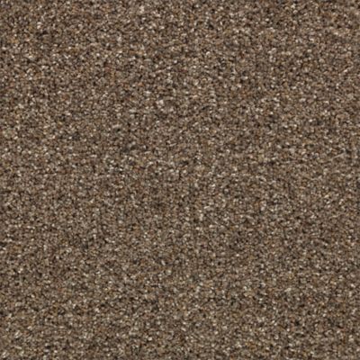 Karastan-Rustic Appeal | Roberts Carpet