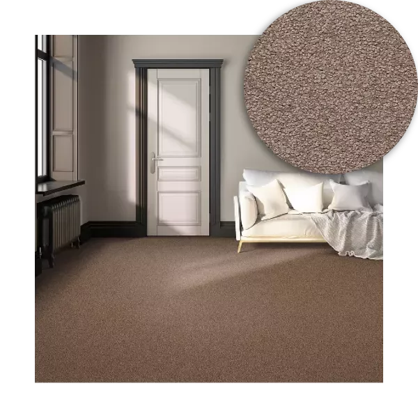 Cut Pile Carpet in Living Room | Roberts Carpet