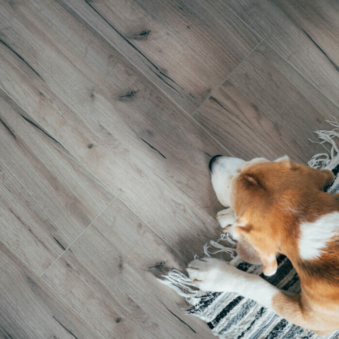 After Laminate Installation | Roberts Carpet & Fine Floors